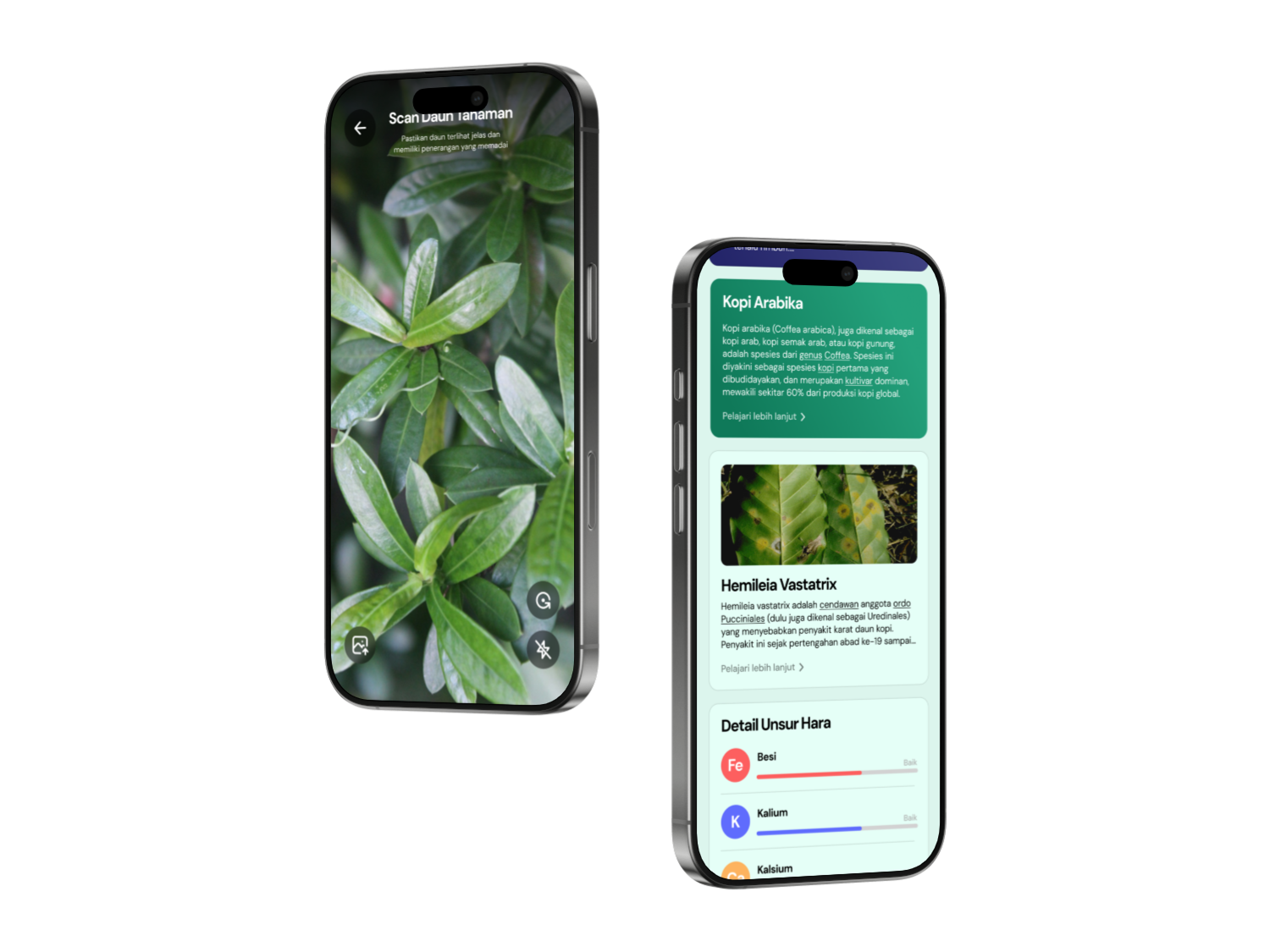 Tampilan dashboard analitik AgroPlus